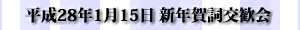 28N115 VNꎌ