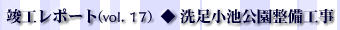 vH|[gvol.17. rH