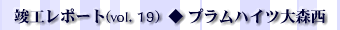 vH|[gvol.19 vnCcX
