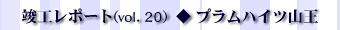 vH|[gvol.20 vnCcR
