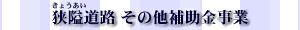 襓H̑⏕