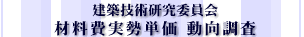 ޗP 
