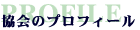 c݋̃vtB[